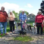 Greyhounds ready for fundraising ‘walkies’