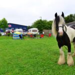 Another traveller trespass – but ‘fewer problems’&hellip;