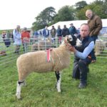 Ewes dominate at Langdon Beck