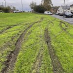 Police called in over damage to green