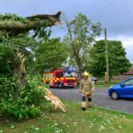 Storm Hector winds bring down tree in&hellip;