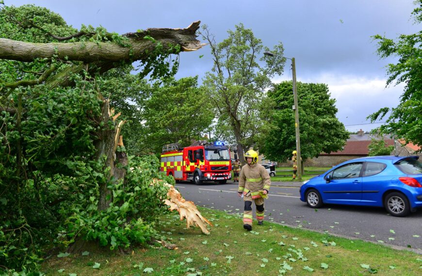 Storm Hector winds bring down&hellip;