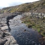Measures to tackle beck pollution