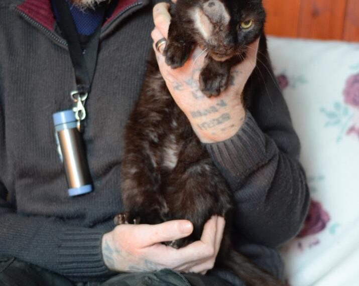 Police appeal as cat is&hellip;