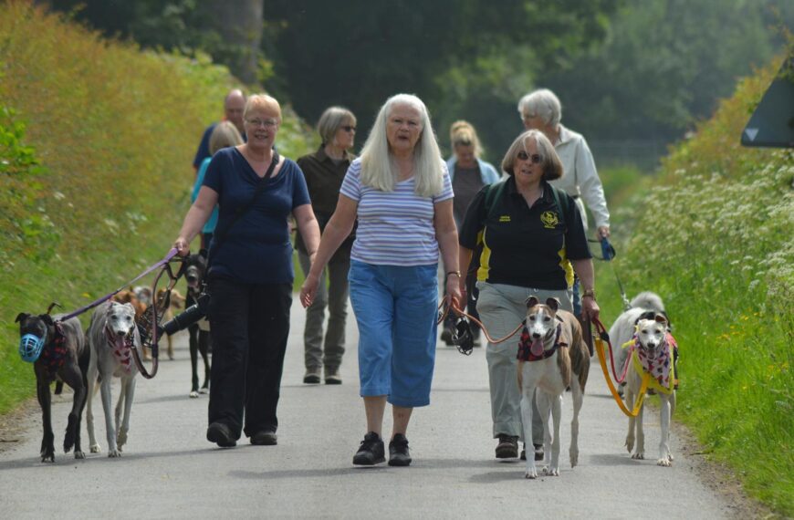 Dog lovers go walks as&hellip;