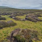 £1m grant for peatland restoration