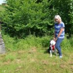 Clearing overgrown beck ‘risks fires’