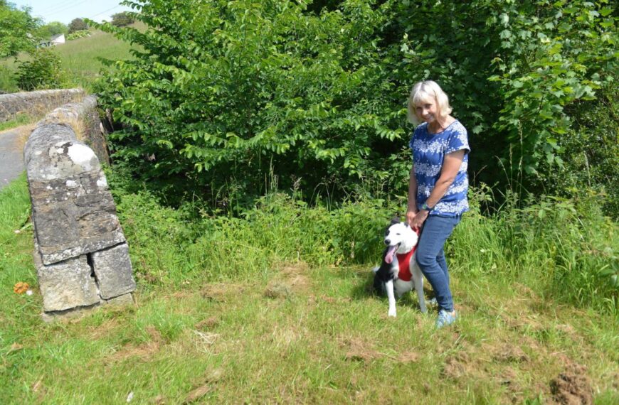 Clearing overgrown beck ‘risks fires’