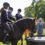 King continues as Dales Pony Society patron
