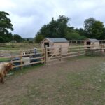 Animal rescue centre’s £85,000 fundraising target