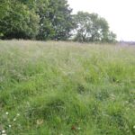 What a mess… Bede Kirk left to&hellip;