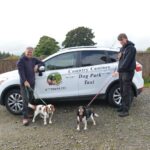 New taxi service so dogs can go…