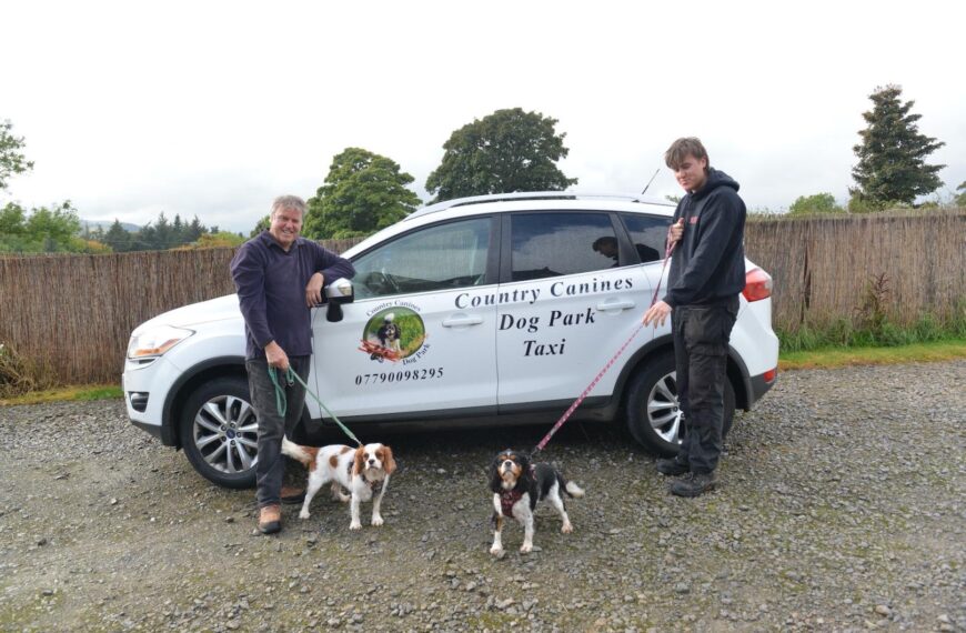 New taxi service so dogs&hellip;