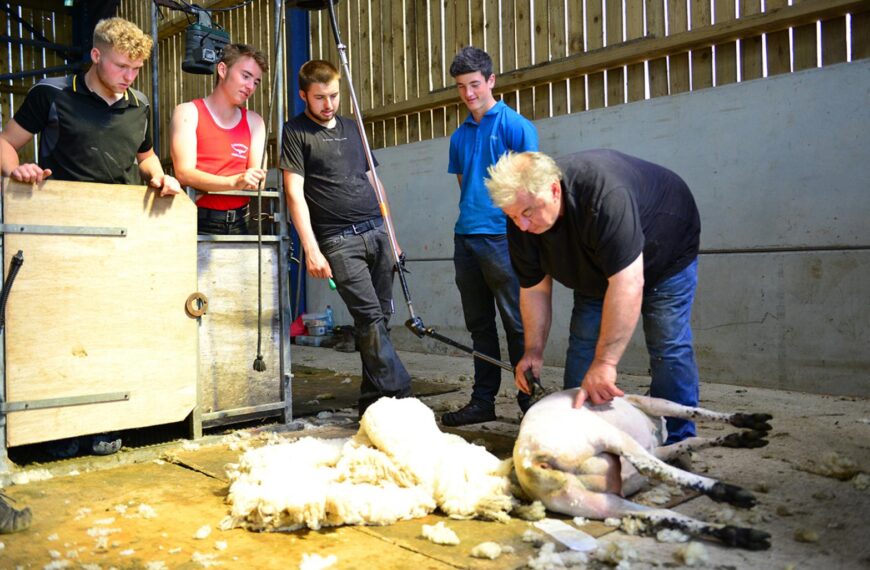 Cameras roll on trainee clippers