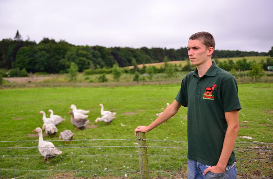 Shock as geese are slaughtered&hellip;