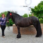 Teesdale success at Great Yorkshire Show