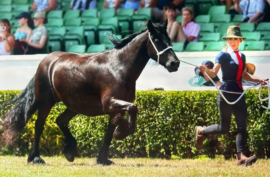 11th title for Dales Pony&hellip;