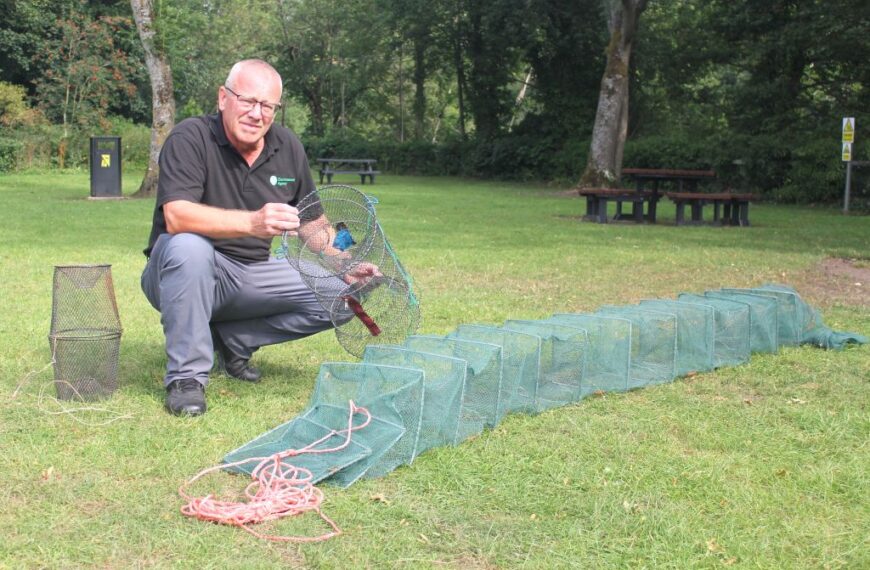 Poachers target River Tees –&hellip;