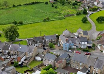Fears over future of village green