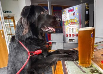 Bob helps break the ice for rough sleepers