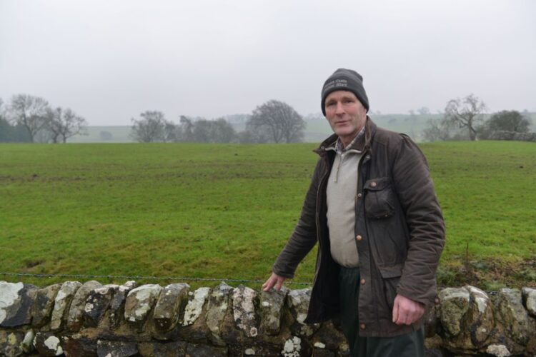 Major changes ahead for 150th Bowes Show