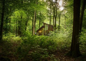 Protestors vow to keep fighting Hamsterley Forest tourist plan