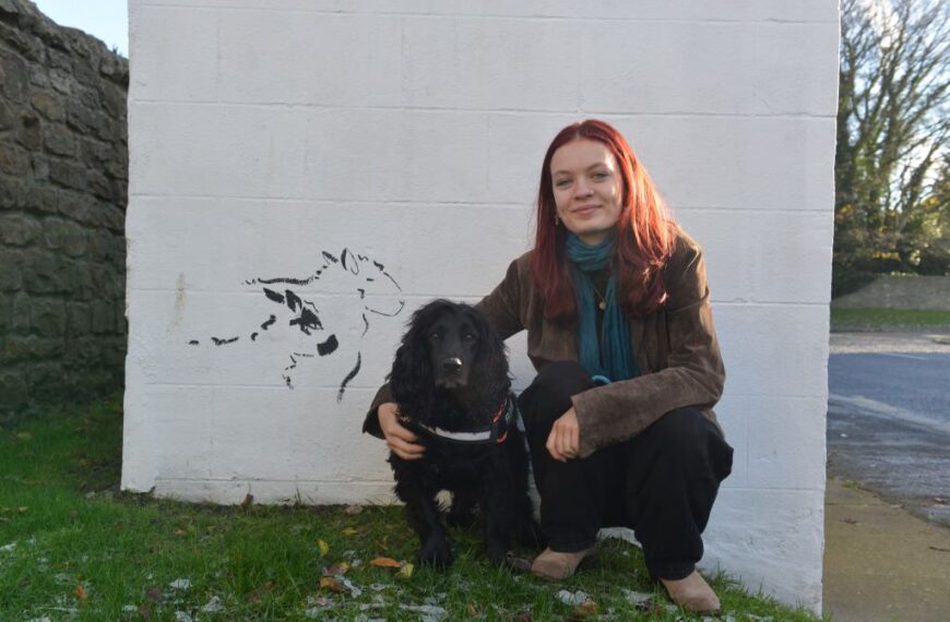 Bus shelter artwork celebrates Ingleton’s&hellip;