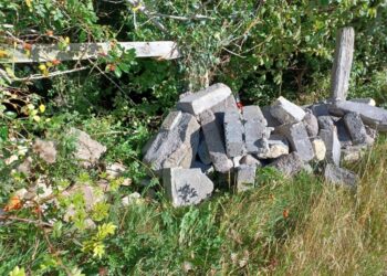 Man fined after fly-tipping building waste