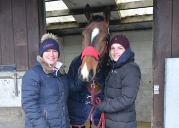 Plea for drivers to slow down when passing horses