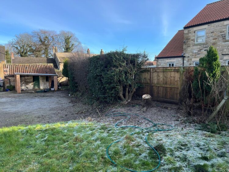 Human error to blame for controversial tree felling