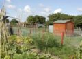 Allotment rules set to become more flexible