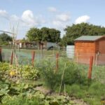 Allotment rules set to become more flexible
