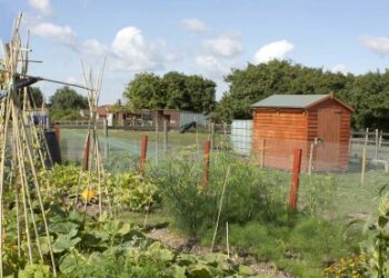 Allotment rules set to become more flexible