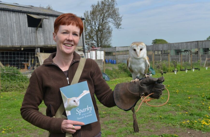 Barn owl tale takes flight in new book