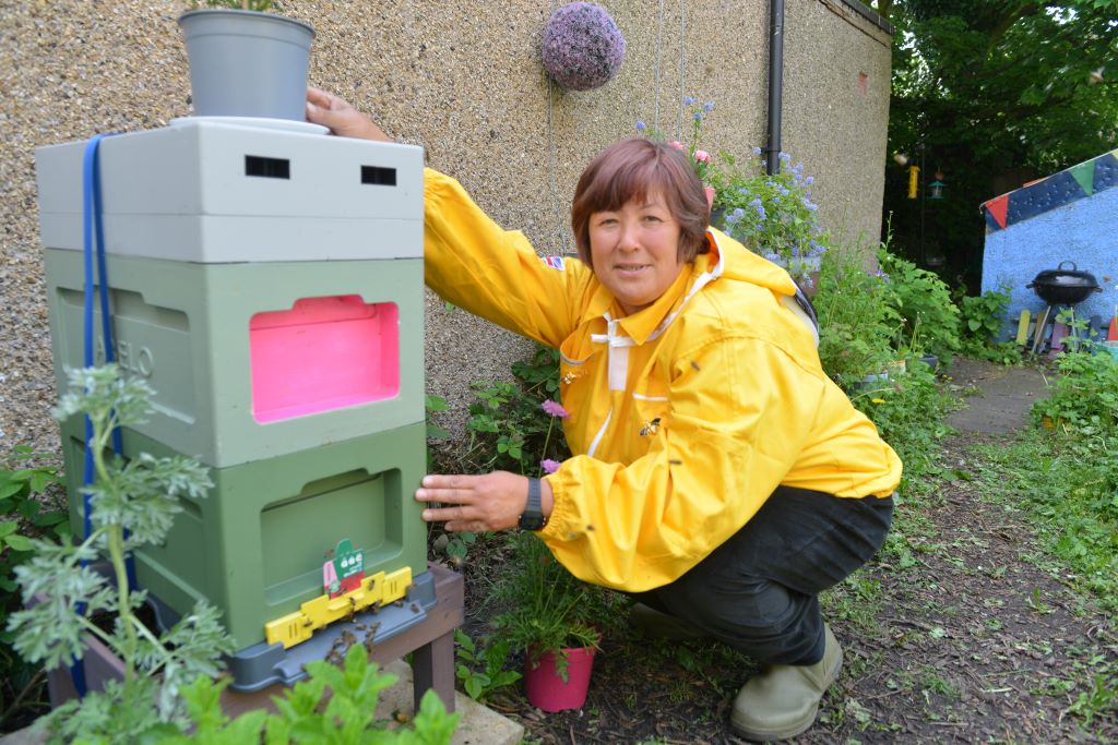 Beekeeper claims generators stressing out hives