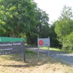 Fresh hold-up for £32m Hamsterley Forest plans
