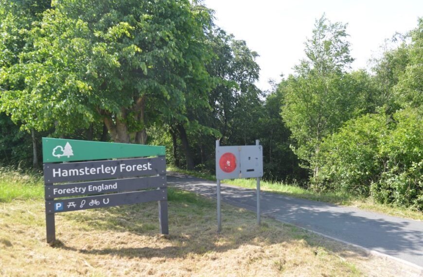 Fresh hold-up for £32m Hamsterley Forest plans