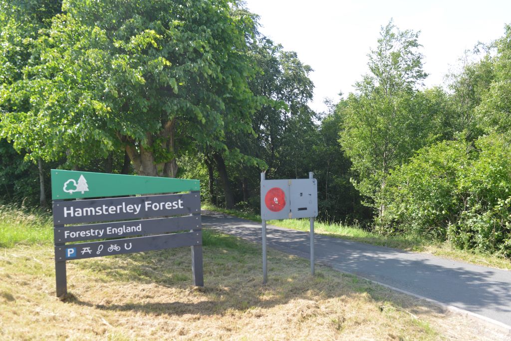 Fresh hold-up for £32m Hamsterley Forest plans