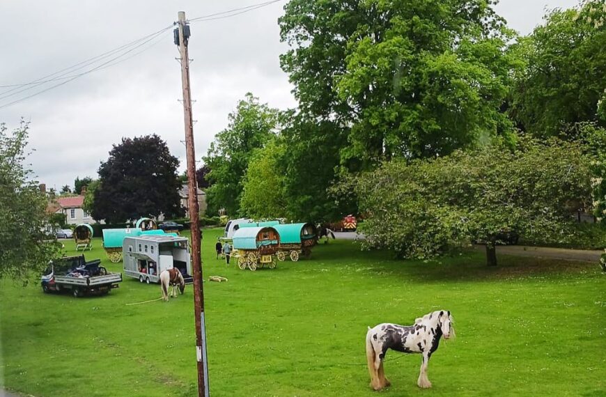 People asked for views on bid to protect village green