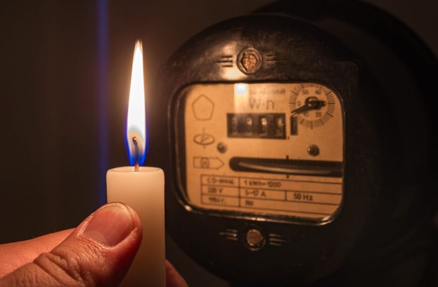 Goose causes power cut in Barnard Castle