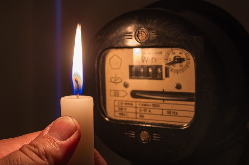 Goose causes power cut in Barnard Castle