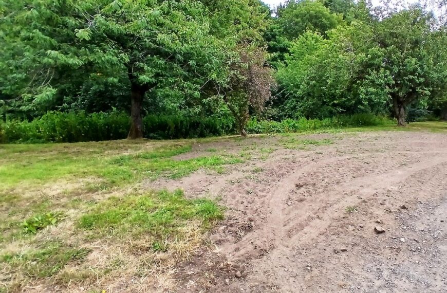 Power cable work causes anger over village green