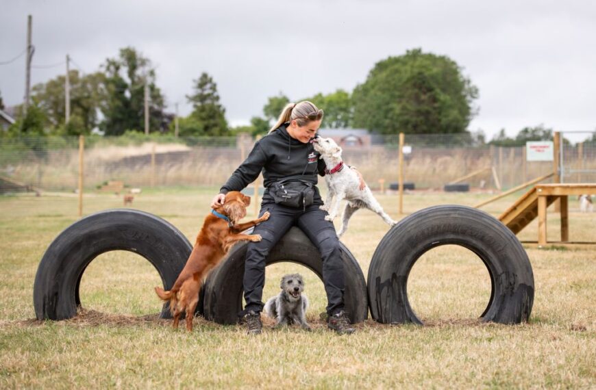 Love for dogs inspires fast-growing business Wuffalo
