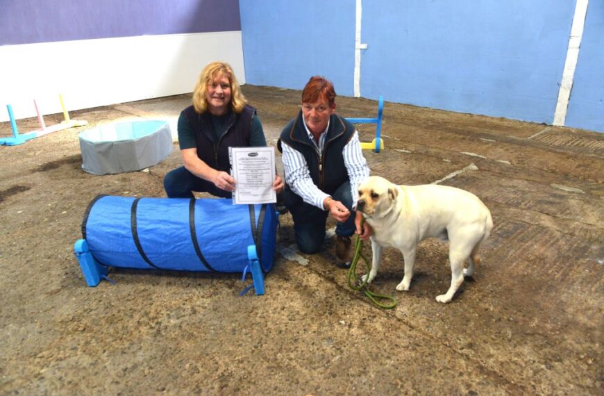 New luxury kennels business is barking up right tree