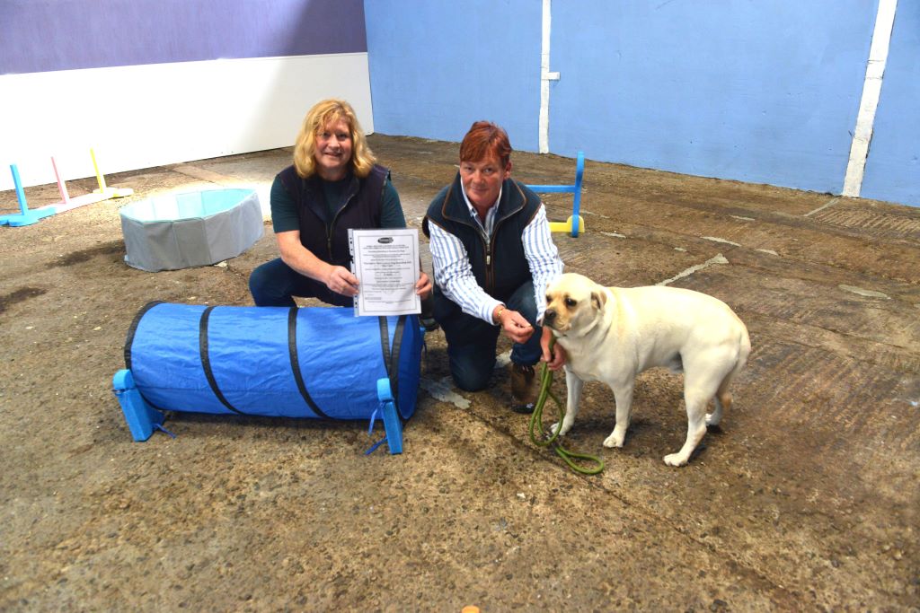 New luxury kennels business is barking up&hellip;