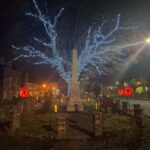 Appeal launched to keep treasured tree shining…