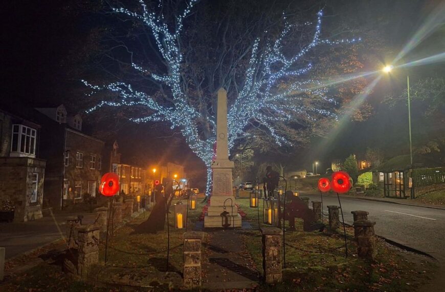 Appeal launched to keep treasured tree shining bright