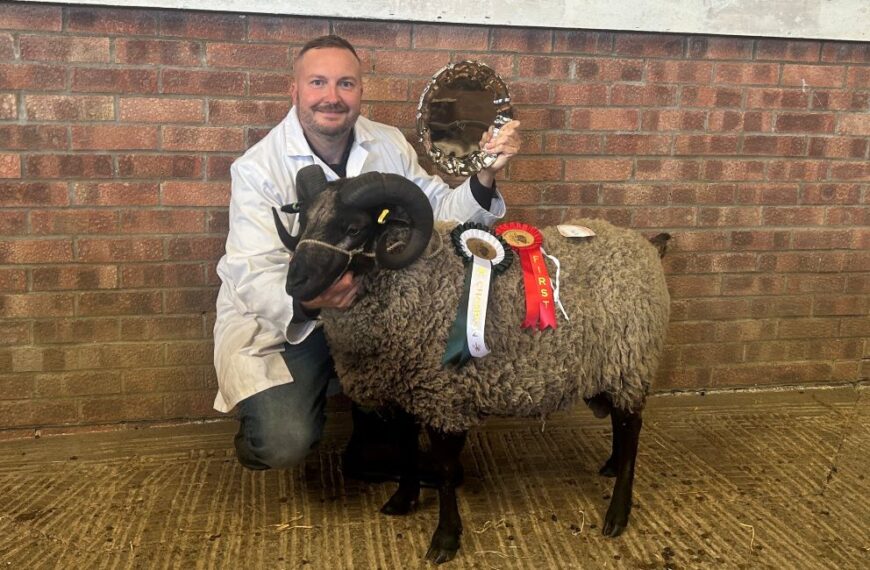 Day to remember for Teesdale sheep breeder